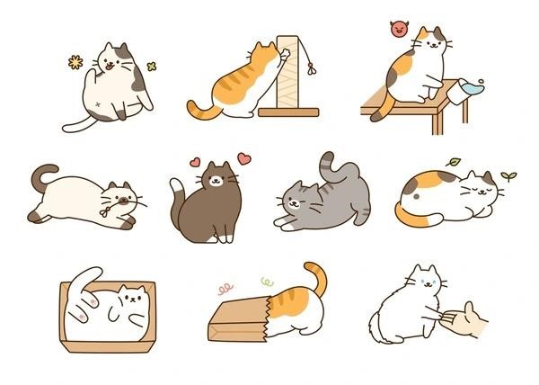 Gambar Kucing Banyak